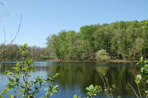 Aux abords de la forêt